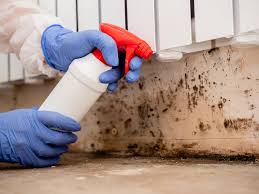 Best Mold Removal for HVAC Installations  in New Sarpy, LA